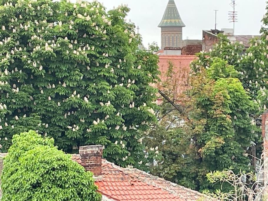 Central, Big Terrace, Near River * Timişoara