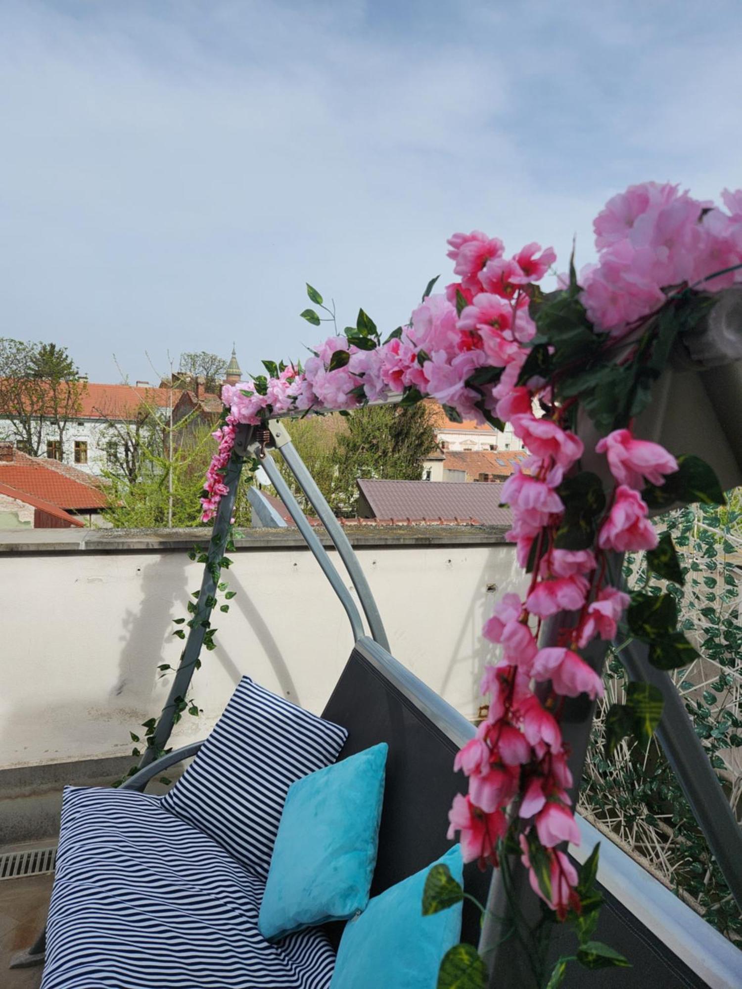 Central, Big Terrace, Near River Timişoara